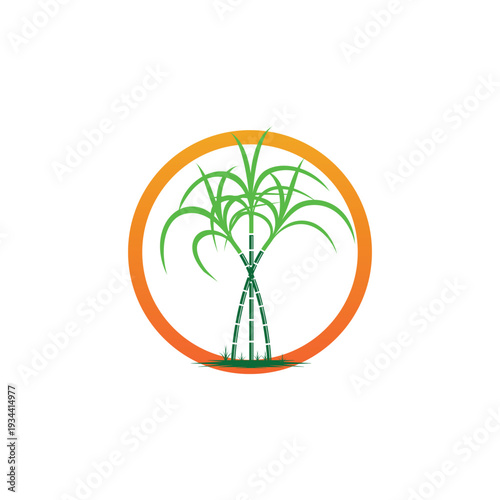 Sugarcane logo and symbol vector image