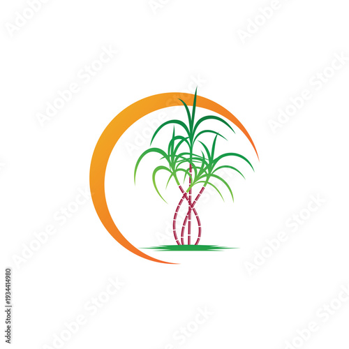 Sugarcane logo and symbol vector image