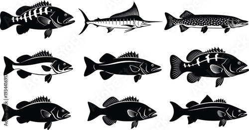 Fish silhouette set with various freshwater and marine species, detailed aquatic animals collection, black vector illustration for fishing, wildlife and nature design isolated background