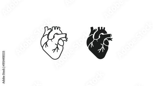 Comparison of stylized heart illustrations with and without internal anatomical details