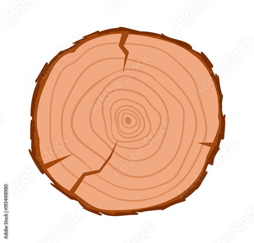 Tree trunk cut. Cartoon round oak slice, lumber wooden industry material, wood lumber saw cut flat vector illustration. Saw trunk cut on white background