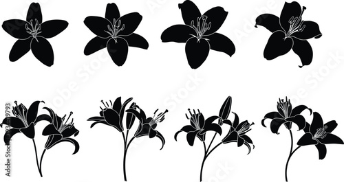 Lily flower silhouette set, elegant floral blooms collection, botanical black shapes with petals and stems, decorative nature vector illustration isolated on white background