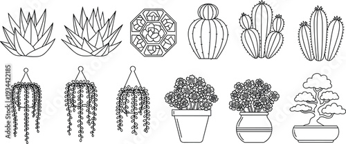 Succulent and cactus outline collection, potted flowers and hanging plants set, decorative botanical line icons, minimal vector illustration for indoor garden design isolated