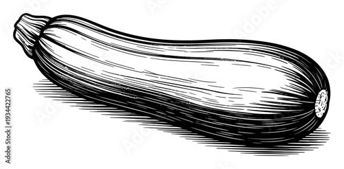 Eggplant Hand Drawn Black White Vector Illustration