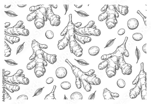 Ginger Root Hand Drawn Seamless Pattern Vector Illustration