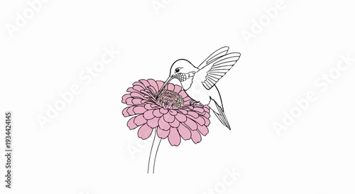 A delicate hummingbird sips nectar from a vibrant pink flower