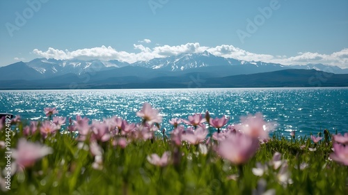 pink flowers in the mountains