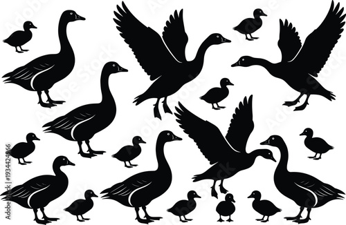 Duck and goose silhouettes vector illustration, black and white waterfowl collage, flying birds, walking ducks, standing geese, ducklings pattern, wildlife design artwork