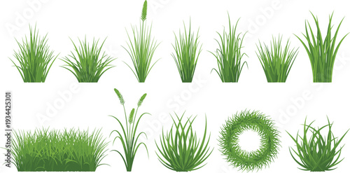 Green grass and lawn plants vector illustration realistic garden turf foliage collection isolated design