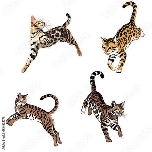 bengal cat wild tattoo style vector icon isolated on white background