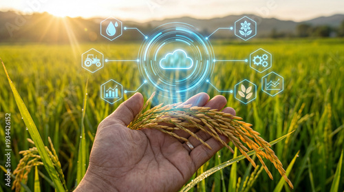 Hand holding rice with smart farming technology icons, representing data-driven agriculture and sustainable food production at sunset