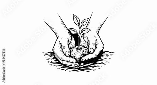 Delicate hands cradle a young seedling, symbolizing growth and new beginnings