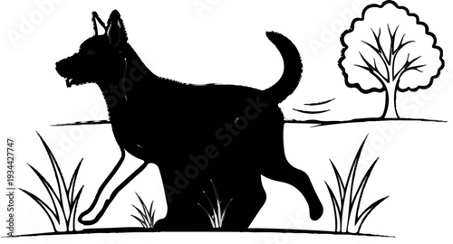 Silhouette of a dog walking in a field with grass and a tree