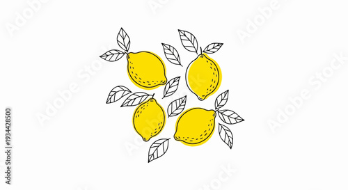 A simple sketch of four yellow lemons with leaves on a white background