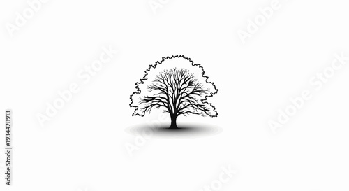 Stylized silhouette of a deciduous tree with bare branches on white