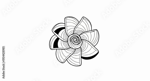 Swirling abstract flower with bold black accents and fine line details