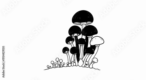 A group of mushrooms of varying sizes, rendered in a black and white sketchy style