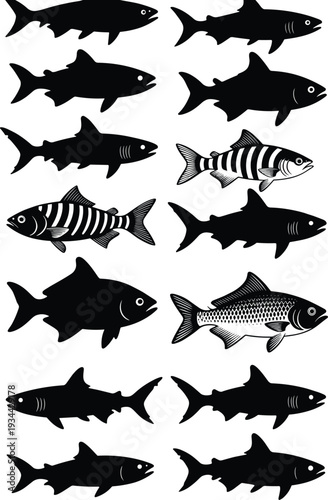 Fish silhouette pattern recognition puzzle, odd one out, detailed markings, visual discrimination exercise, educational vector illustration, cognitive design, aquatic art concept