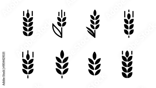 A diverse assortment of eight black silhouette icons representing various styles of wheat stalks or ears.
