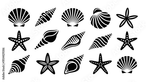 A diverse set of black silhouette icons showcases various seashells and starfish.