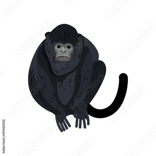 Vector illustration of a black monkey sitting.