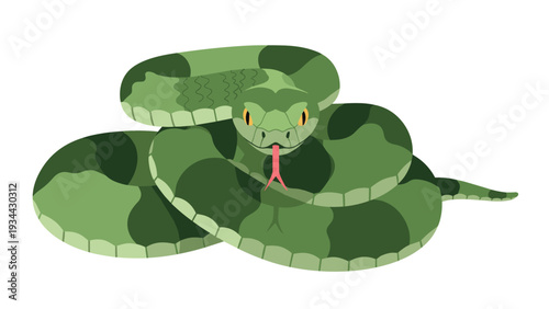 Large green snake with dark camouflage patterns is coiled up and looking forward while flicking its red forked tongue.