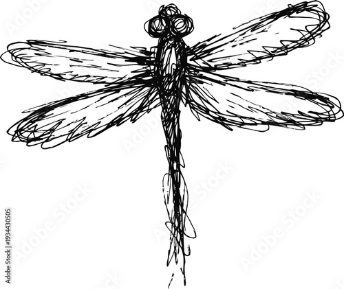 Hand drawn dragonfly sketch with intricate wings and slender body, ink illustration on white background