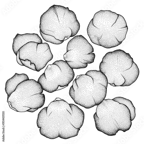 Adobe Illustrator Artwork