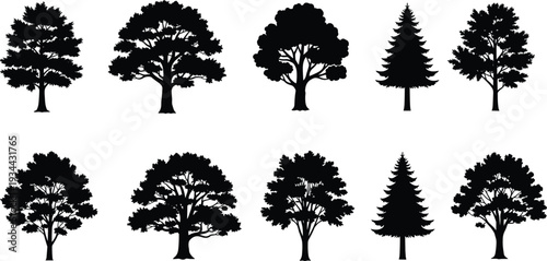 Collection of detailed tree silhouettes including deciduous and pine varieties isolated on white background, natural forest elements set for design projects