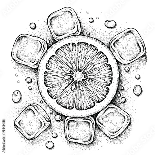 Hand-drawn lemon slice surrounded by ice cubes and droplets