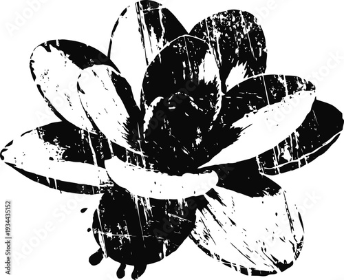 Grunge black and white magnolia flower illustration with textured distress effect and petals detail