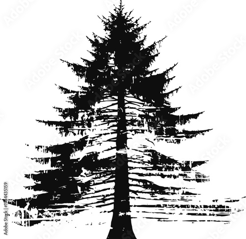 silhouette of a tall pine tree with detailed branches on a white background