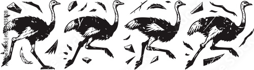 silhouettes of ostriches walking with scattered stones around, black and white animal illustration