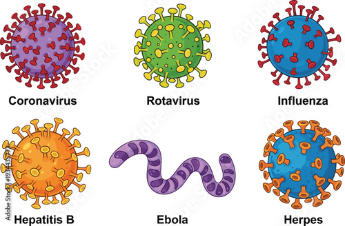 Illustrated Viruses: Coronavirus, Rotavirus, Influenza, Hepatitis B, Ebola, and Herpes in Colorful Design