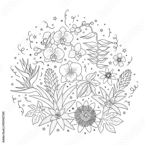 Hand-drawn floral arrangement with various orchids and tropical plants