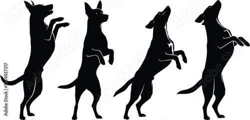 Four black silhouettes of dogs standing on hind legs with front paws raised on white background vector