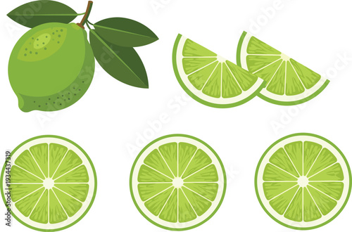 Fresh lime whole and sliced citrus fruit vector illustration set