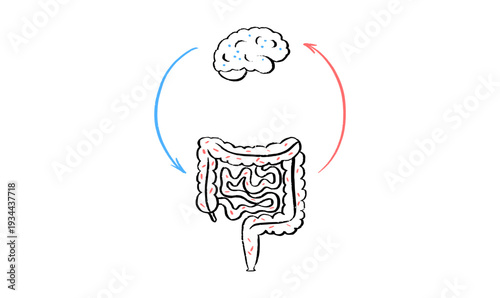 Gut Brain Connection