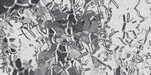 Abstract monochrome textured background with intricate organic patterns and granular noise creating a complex visual effect suitable for digital art and graphic design applications