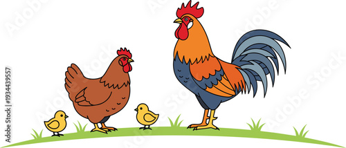 Hen rooster and chicks farm poultry family vector illustration