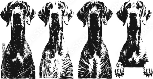 Four artistic black and white dogs sketches minimalist pet portraits of attentive canine heads with one showing paws