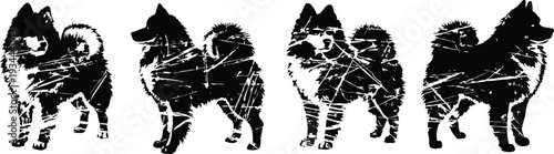 silhouettes of standing dogs in various poses, showcasing canine body shapes from different angles