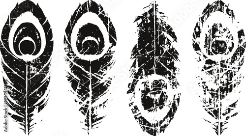 Grunge peacock feather set with distressed textured design in black on white background