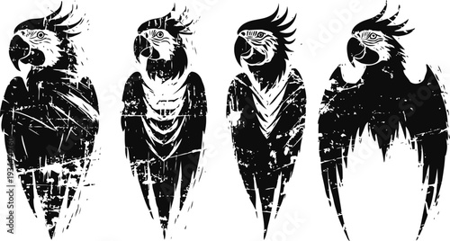 Grunge macaw parrots set abstract black distressed bird silhouettes with detailed feathers and textured