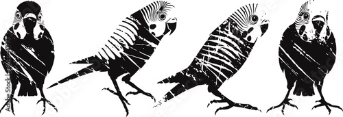 four black and white artistic parrot silhouettes with striped patterns in different poses