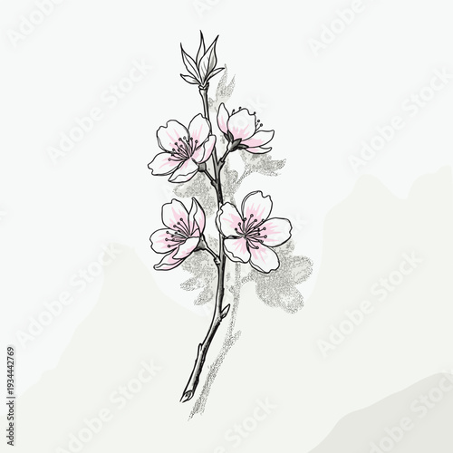 Delicate pink cherry blossoms on a thin branch with subtle grey shading and a light background