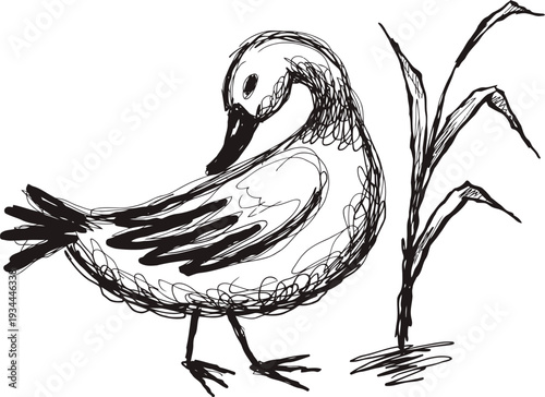 swan sketch in black and white pen with water and tall grass, elegant bird drawing