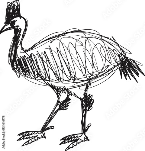 Hand drawn black sketch of a cassowary bird with detailed legs, beak, feathers, and head crest