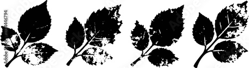 black and white graphic leaves silhouette set nature elements collection with detailed leaf shapes and textures