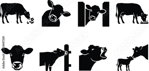 Vector illustrations of various cow silhouettes showcasing different poses and expressions in a minimalist style